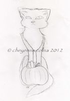 Black Cat with Pumpkin